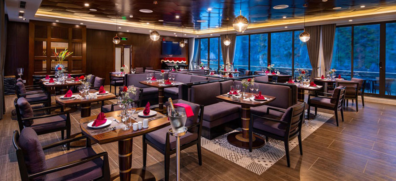 Stellar of the Seas Cruise