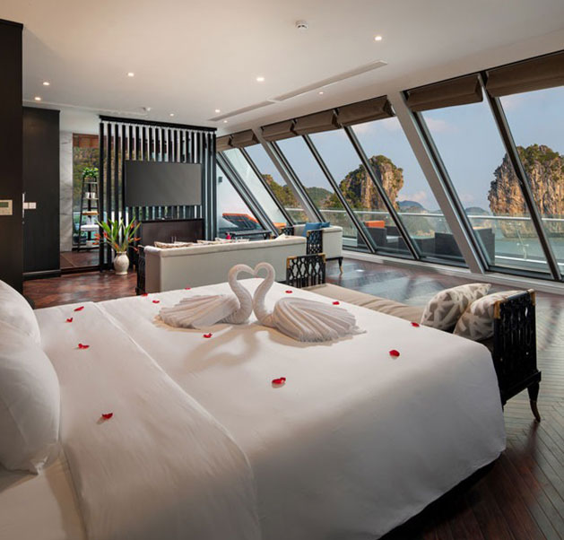 Stellar of the Seas Cruise