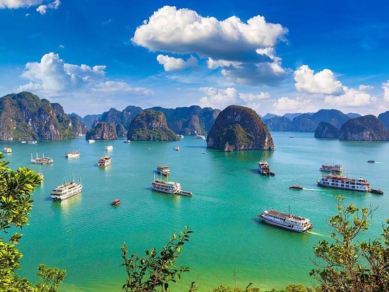 Stellar of the Seas Cruise